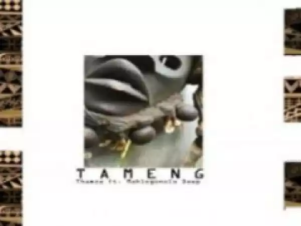 Thamza - Tameng (Instrumental Mix) ft. Mahlogonolo Deep